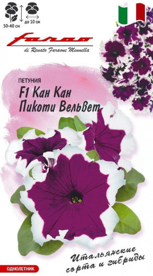 Петуния «Кан Кан Пикоти вельвет F1»