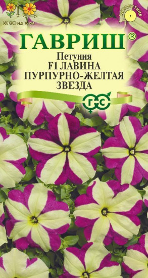 Петуния «Лавина Пурпурно-жёлтая звезда F1»