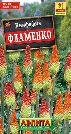 Книфофия ягодная «Фламенко»