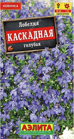 Лобелия «Каскадная голубая»