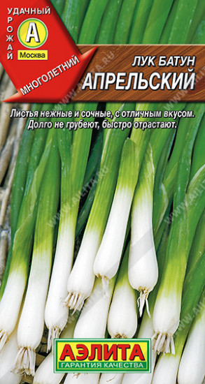 Лук батун «Апрельский»