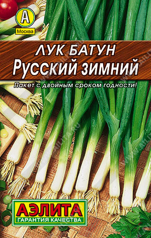 Лук батун «Русский зимний»