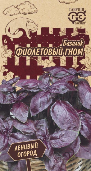 Базилик «Фиолетовый гном»
