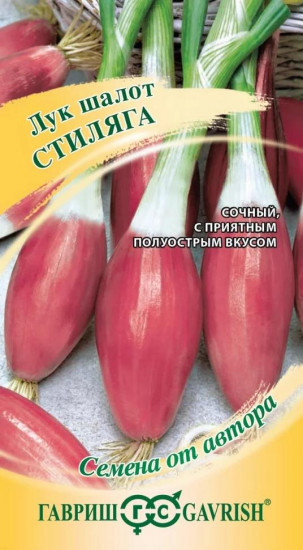 Лук шалот «Стиляга»