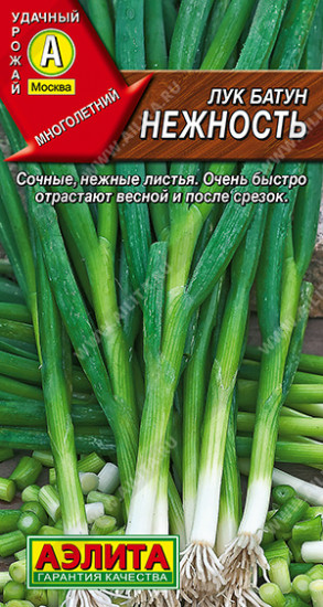 Лук батун «Нежность»