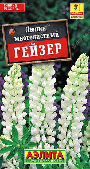 Люпин «Гейзер»