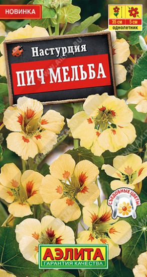 Настурция «Пич Мельба»