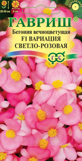 Семена «Бегония вечноцветущая. Вариация светло-розовая F1»