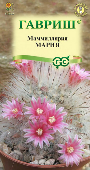 Семена «Маммиллярия Мария»
