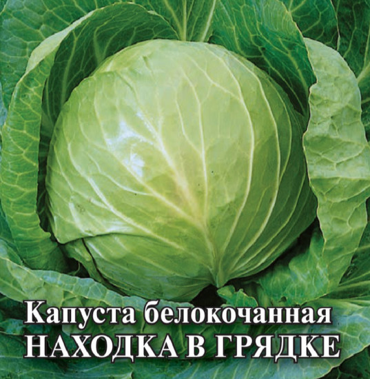 Капуста белокочанная «Находка в грядке»