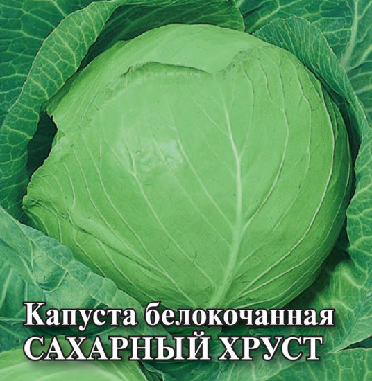 Капуста белокочанная «Сахарный хруст»