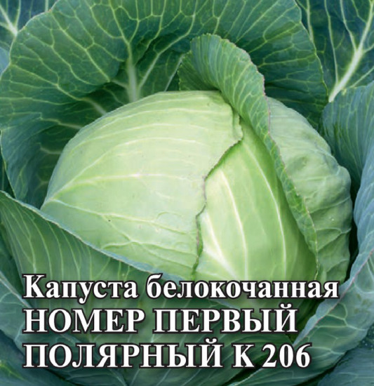 Капуста белокочанная «Номер первый полярный К 206»