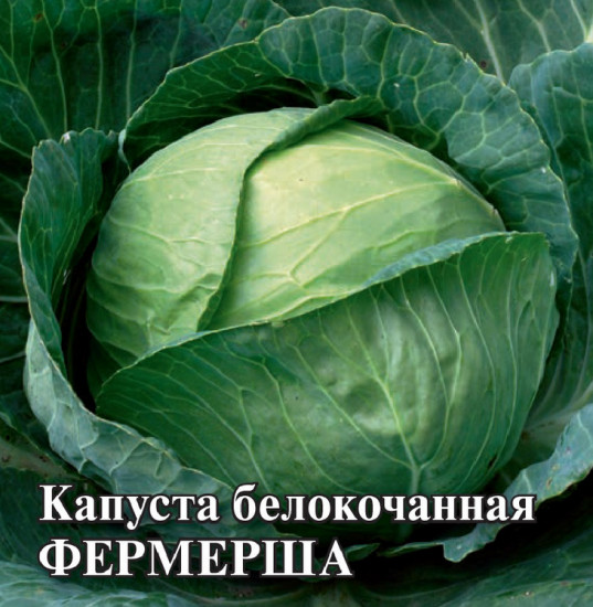 Капуста белокочанная «Фермерша»