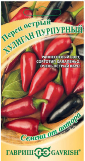 Перец острый «Хулиган пурпурный»