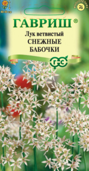 Лук ветвистый декоративный «Снежные бабочки»