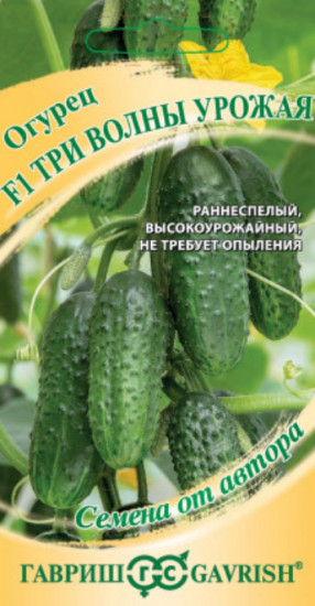Огурец «Три волны урожая F1»