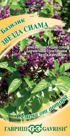 Базилик «Звезда Сиама»