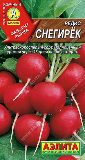 Редис «Снегирек»