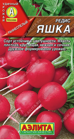 Редис «Яшка»