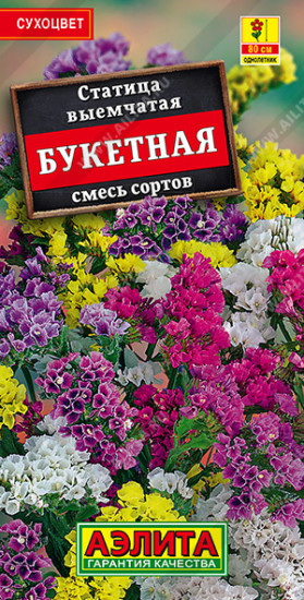Статица, смесь сортов «Букетная»