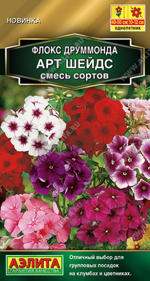 Флокс друммонда, смесь сортов «Арт Шейдс»