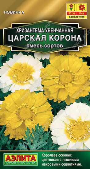 Хризантема махровая, смесь сортов «Царская корона»