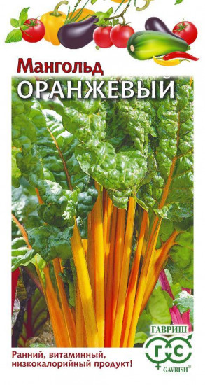 Мангольд «Оранжевый»
