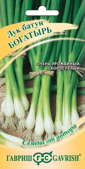Лук батун «Богатырь»