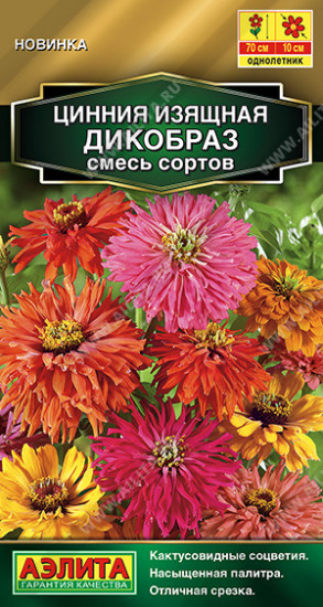Цинния, смесь сортов «Дикобраз»
