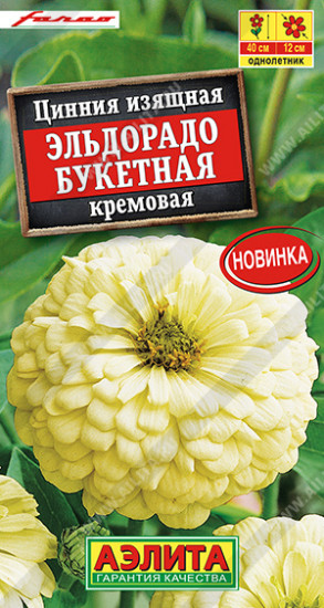 Цинния букетная кремовая «Эльдорадо»