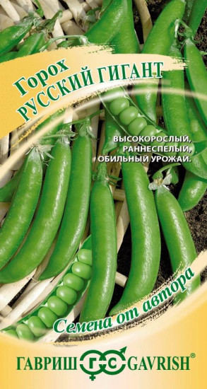 Горох «Русский гигант»
