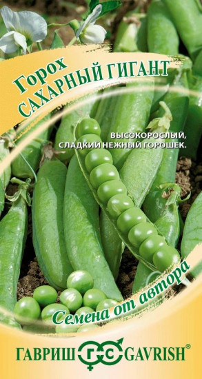 Горох «Сахарный гигант»