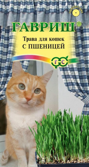 Трава для кошек с пшеницей