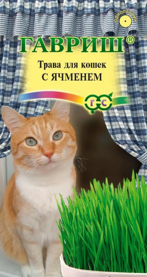 Трава для кошек с ячменем