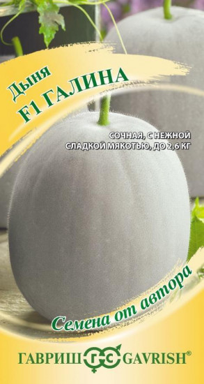 Дыня «Галина»