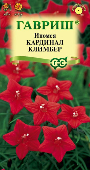Ипомея «Кардинал Климбер»
