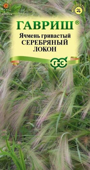 Ячмень гривастый «Серебряный локон»