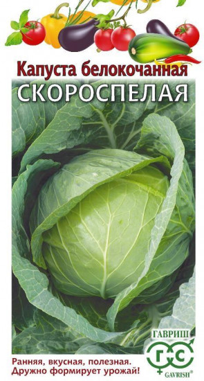 Капуста белокочанная «Скороспелая»