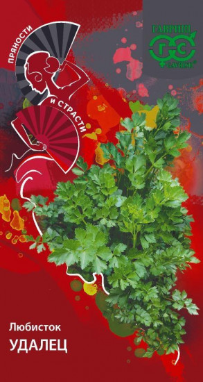 Любисток «Удалец»