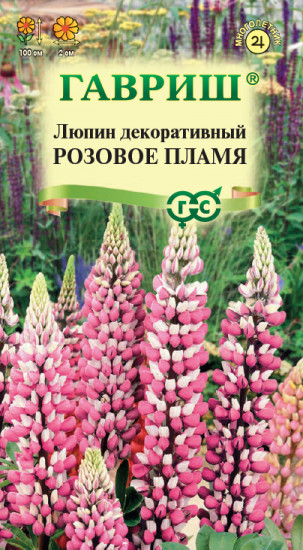 Люпин декоративный «Розовое пламя»