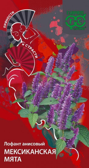 Лофант анисовый «Мексиканская мята»
