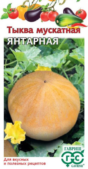 Тыква «Янтарная мускатная»