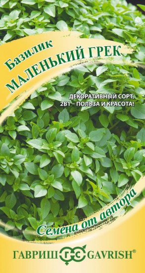 Базилик «Маленький Грек»