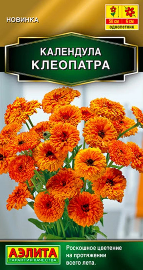 Календула «Клеопатра»