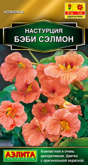 Настурция «Бэби сэлмон»