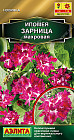 Ипомея махровая «Зарница»