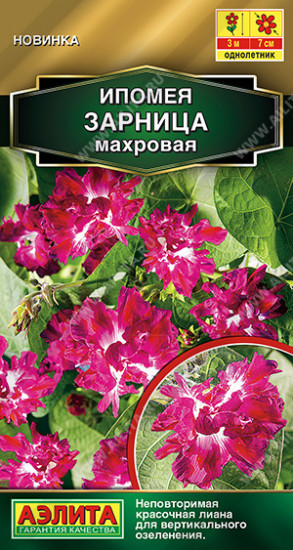 Ипомея махровая «Зарница»