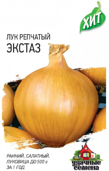 Лук репчатый «Экстаз»
