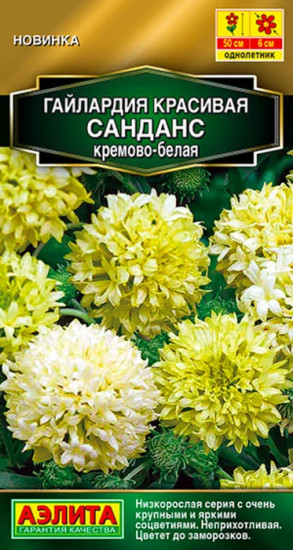 Гайлардия «Санданс кремово-белая»