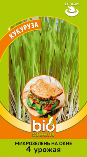 Микрозелень «Кукуруза»